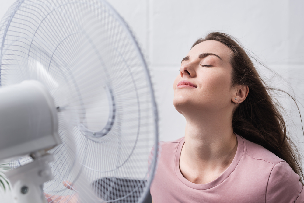 How Much Electricity Does a Fan Use? [Wattage & kWh]